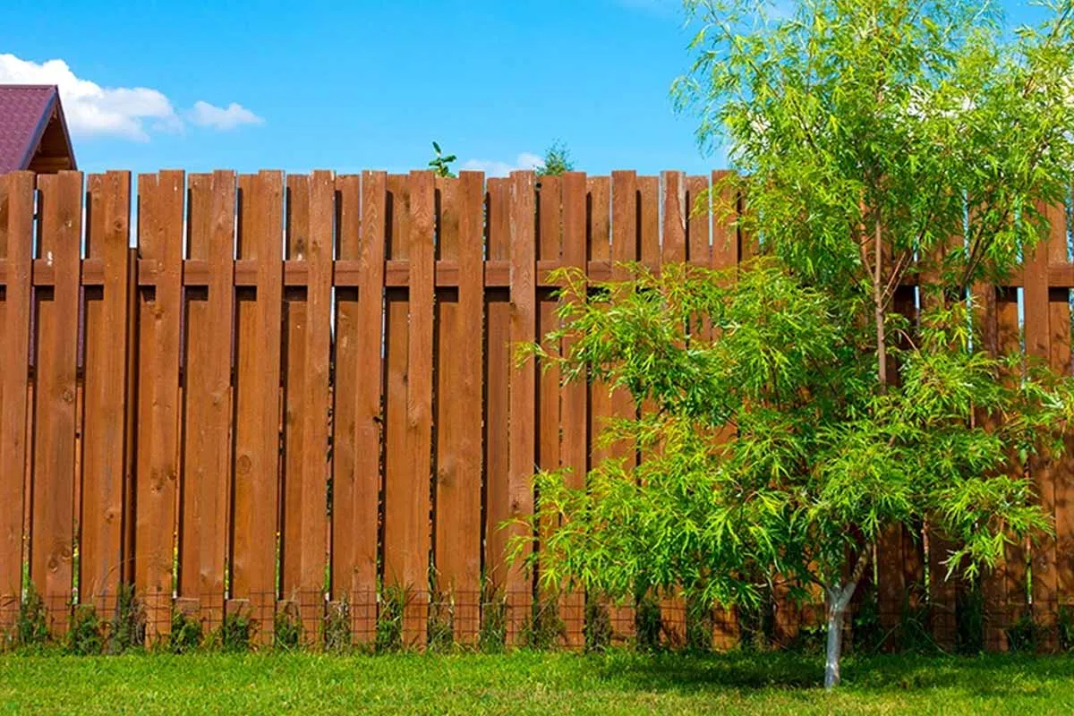 Navigating Neighborly Tree Trimming: A Guide to Keeping Things Friendly and Safe